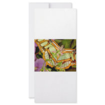 Butterfly rack cards