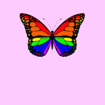 Butterfly Rainbow Ladies Tee t-shirts