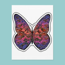 Butterfly Rainbow Ripple postcards