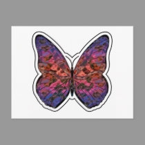 Butterfly Rainbow Ripple postcards