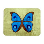 Butterfly Rectangle Magnets