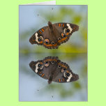 Butterfly Reflections cards