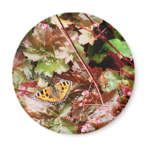Butterfly magnets
