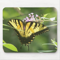 "BUTTERFLY RESTIN" mousepads