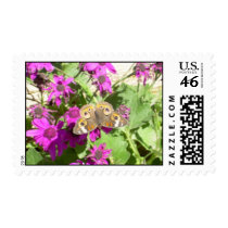 Butterfly Resting on Petals Postage postage