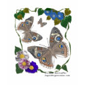 Butterfly Rhapsody shirt