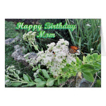 Butterfly & Rock Garden for Mom Greeting Cards