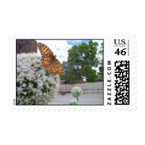 butterfly sampling the garlic flowers stamp