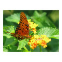 Butterfly Series posters by iiiyaaa Butterfly Series posters