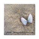 Butterfly Shells Magnet
