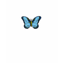 Butterfly Shirt