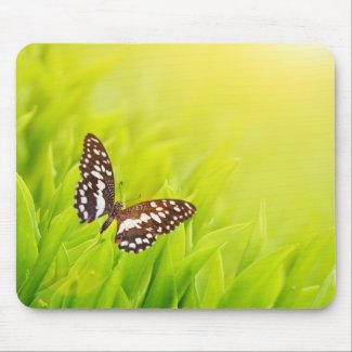 Butterfly sitting on a fresh green grass mousepad