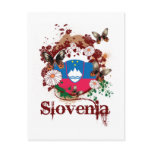 Butterfly Slovenia Post Card