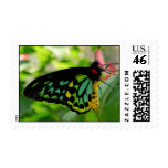 Butterfly Stamp stamps