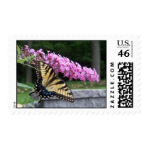 Butterfly Stamp stamps