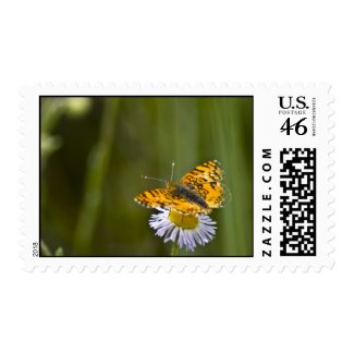 Butterfly Stamp 2 stamp