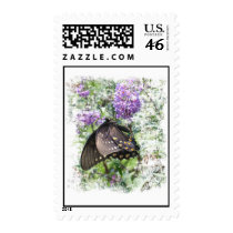 Butterfly stamp #4