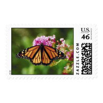 Butterfly Stamp stamps