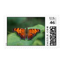 Butterfly Stamp