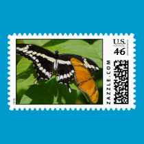 Butterfly Stamp stamps