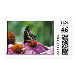 Butterfly Stamp