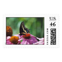 Butterfly Stamp by Captain_Panama Butterfly Stamp
