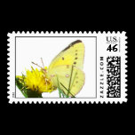 Butterfly Stamps 1