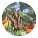 Butterfly Sticker sticker