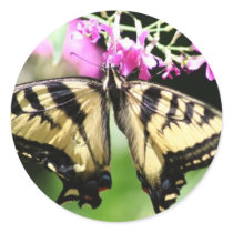Butterfly Sticker by creativesam Butterfly Sticker