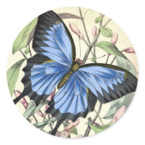Butterfly stickers by MyOtherPlanet Butterfly stickers
