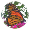 Butterfly Sticker by TrevorTrent Butterfly Sticker