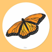 butterfly sticker stickers