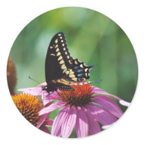 Butterfly Stickers
