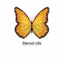 Butterfly, symbol of eternal life t-shirts by generallee1968 Butterfly, symbol of eternal life t-shirts