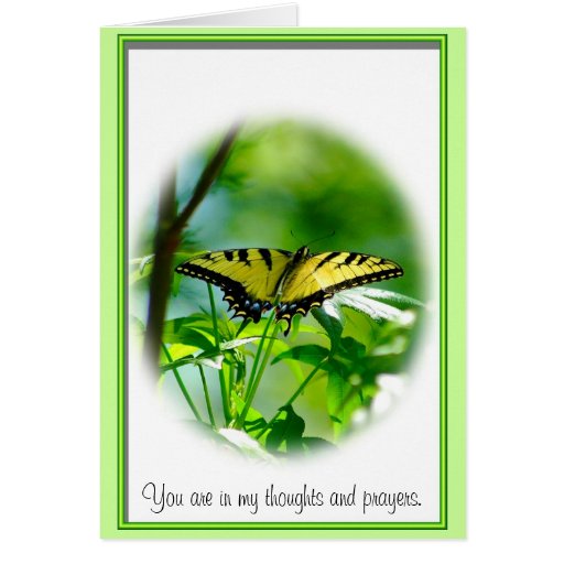 Butterfly Sympathy Card | Zazzle