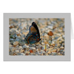 Butterfly Sympathy Card