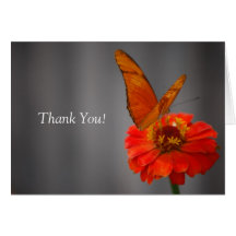 Butterfly Thank You Greeting Card