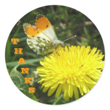 Butterfly Thanks Stickers sticker