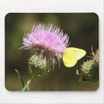 BUTTERFLY THISTLE Mousepad