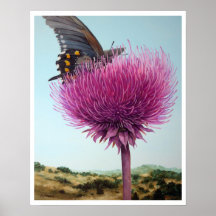 Butterfly & Thistle poster