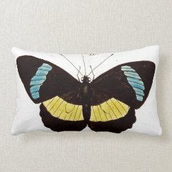 Butterfly Throw Pillow in Black, Aqua & Yellow