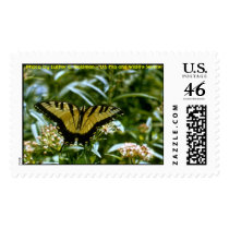 Butterfly - Tiger Swallowtail Postage