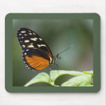 Butterfly Tongue Mouse Pads
