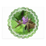 Butterfly Trio Horizontal Postcard