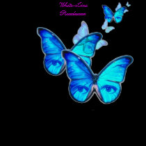 Butterfly t-shirts