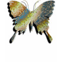 Butterfly t-shirts