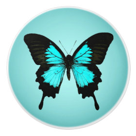 Butterfly - turquoise blue and black ceramic knob