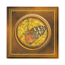 butterfly under glass magnet