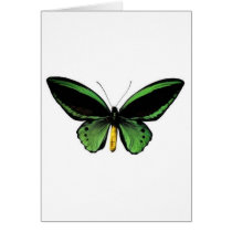 Butterfly unique design! cards by angeria Butterfly unique design! cards