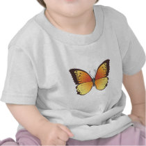 Butterfly: Vector Illustration: T-shirt